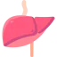 Liver Symbol 64x64