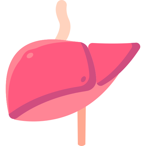 Liver icon