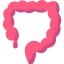 Colon ícono 64x64