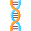 Dna icon 64x64