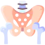Pelvis icon 64x64
