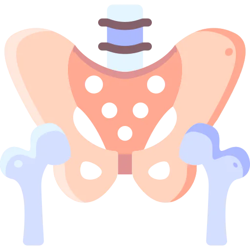 Pelvis icon