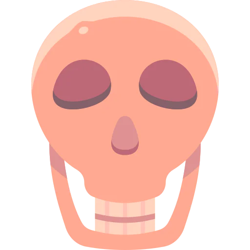Skull icon