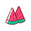 Watermelon icon 64x64