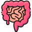 Intestine icon 64x64