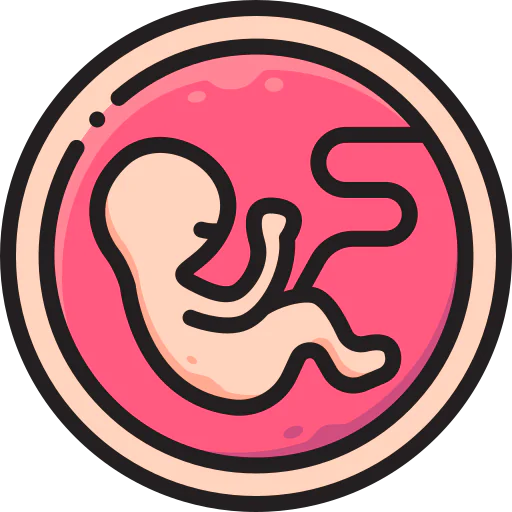 Embryo icon