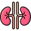 Kidney icon 64x64