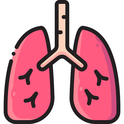 Lungs icon
