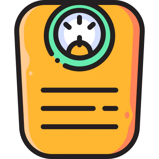 Scale icon