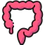 Colon ícono 64x64