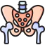 Pelvis icon 64x64