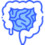 Intestine icon 64x64
