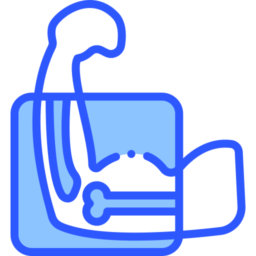X ray icon