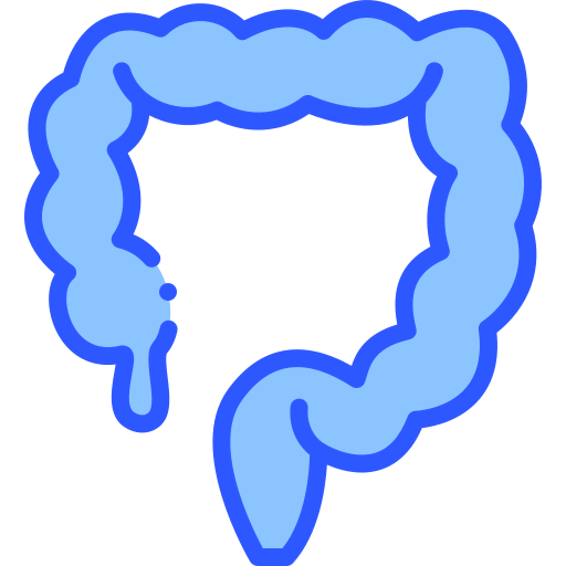 Colon icon