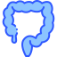 Colon ícono 64x64