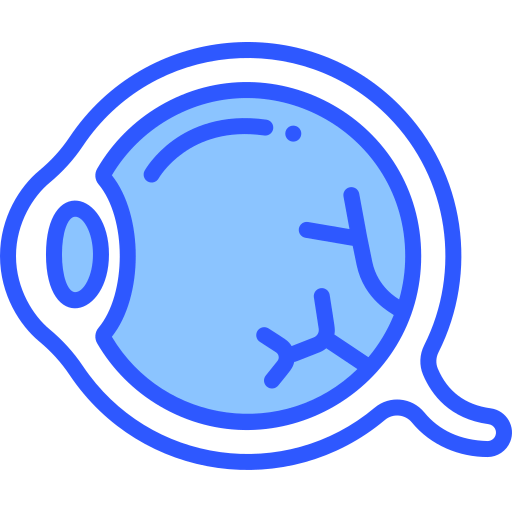 Eyeball icon