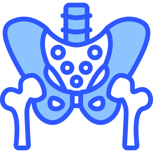 Pelvis icon