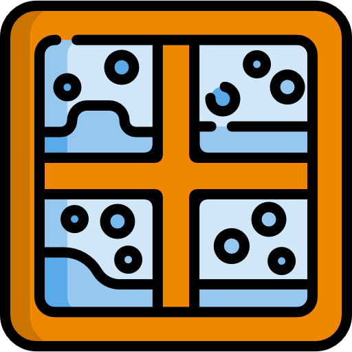 Window icon