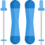 Ski icon 64x64