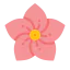 Mugunghwa icon 64x64