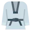 Taekwondo icon 64x64