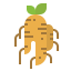 Ginseng icon 64x64