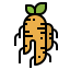 Ginseng icon 64x64