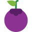 Plum icon 64x64
