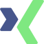 Xing icon 64x64