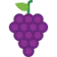 Grapes icon 64x64