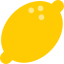 Lemon icon 64x64