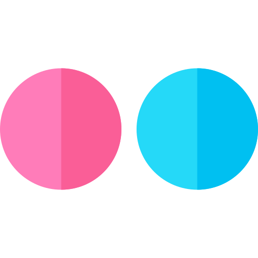 Flickr icon