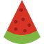 Watermelon icon 64x64