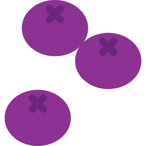 Plum icon