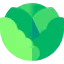 Cabbage icon 64x64