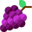 Grapes icon 64x64