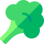 Broccoli icon 64x64
