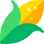 Corn icon 64x64