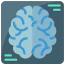 Brain icon 64x64