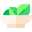 Salad icon 64x64
