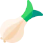 Onion icon 64x64