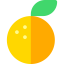 Orange icon 64x64