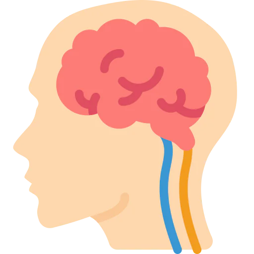 Brain icon