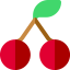 Cherry icon 64x64