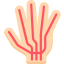 Nerves ícono 64x64