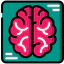 Brain icon 64x64