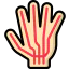 Nerves ícono 64x64