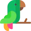 Parrot icon 64x64