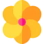 Flower icon 64x64
