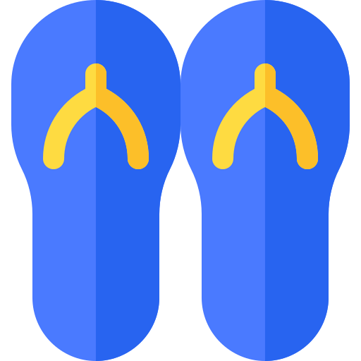 Flip flops icon
